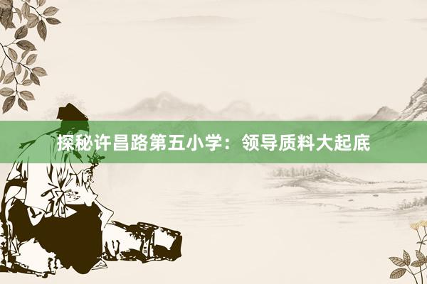 探秘许昌路第五小学：领导质料大起底