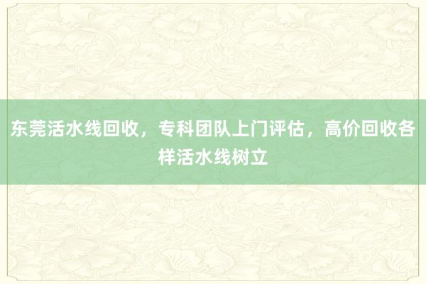东莞活水线回收，专科团队上门评估，高价回收各样活水线树立